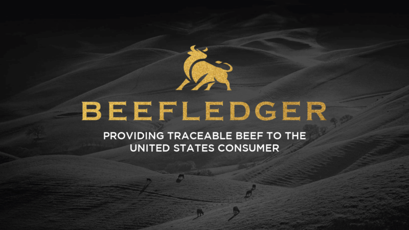 BeefLedger-Presentation-Texas-2022-A-1